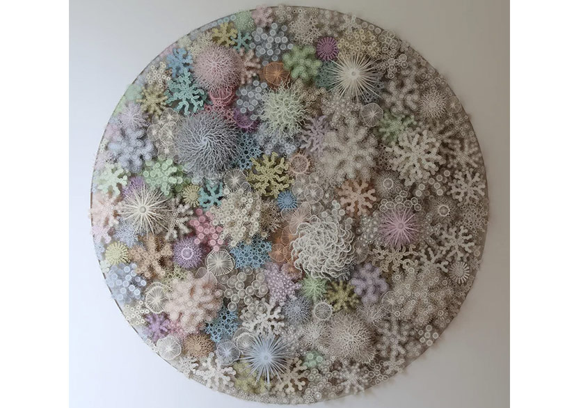 Mercan Resiflerinin Büyülü Dünyası