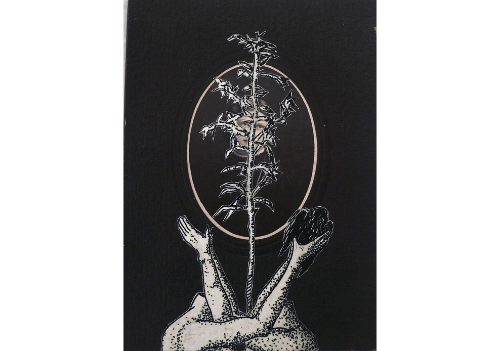 Art Dubai Bugün Başlıyor!