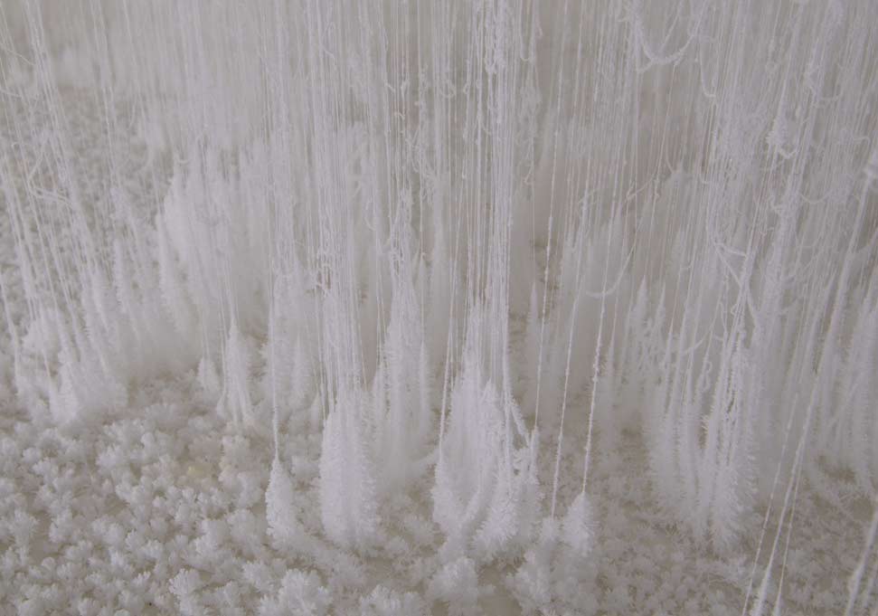 Yerçekimine Meydan Okuyan Enstalasyonlar