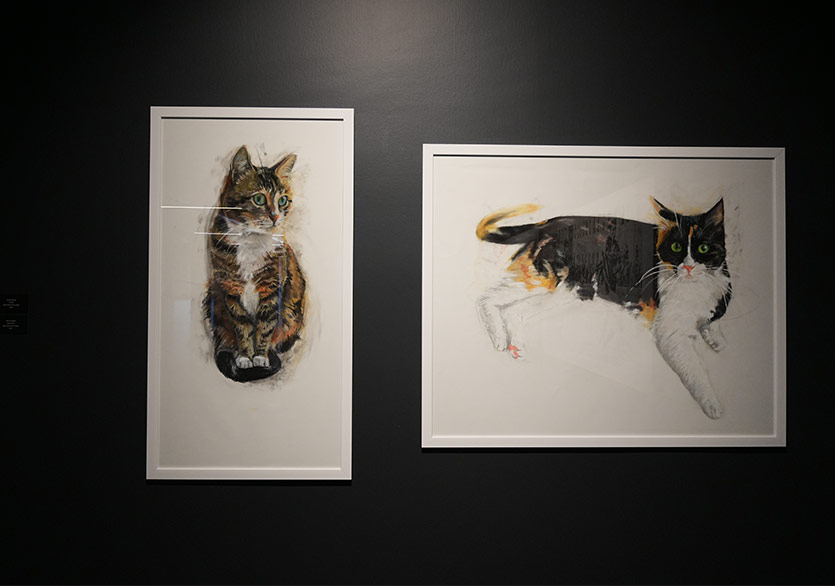 “Bağışla Beni N’olur” Sergisi İstanbul Sanat Müzesi’nde