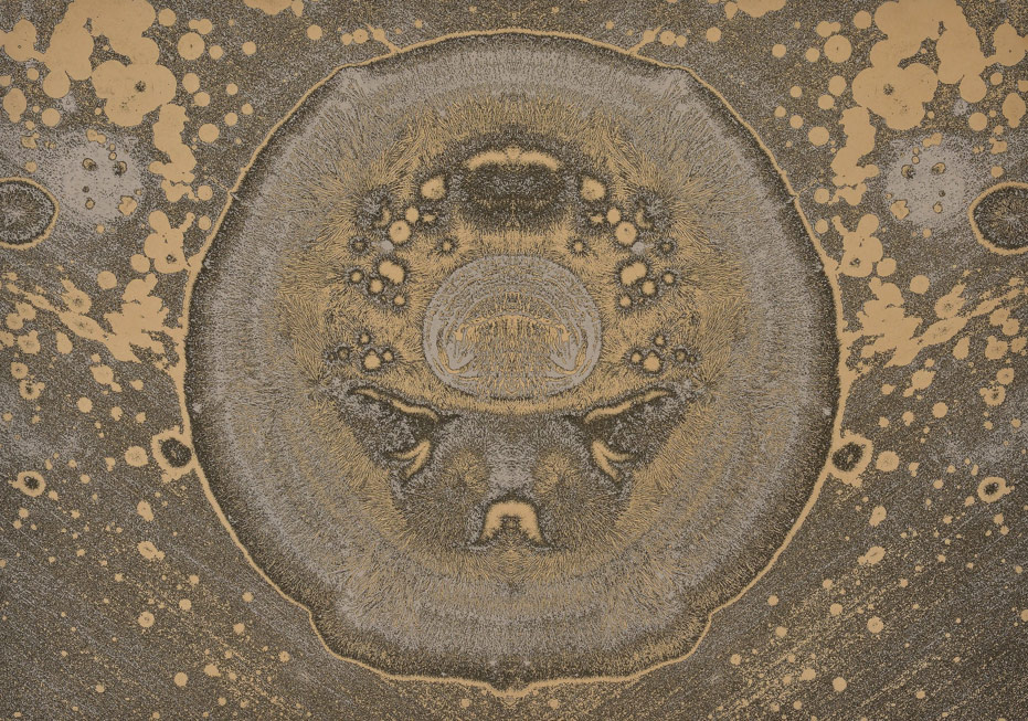 Tekrar Eden Sonsuz Dokular