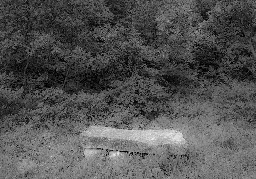 Hayali Topraklara Dönüş 