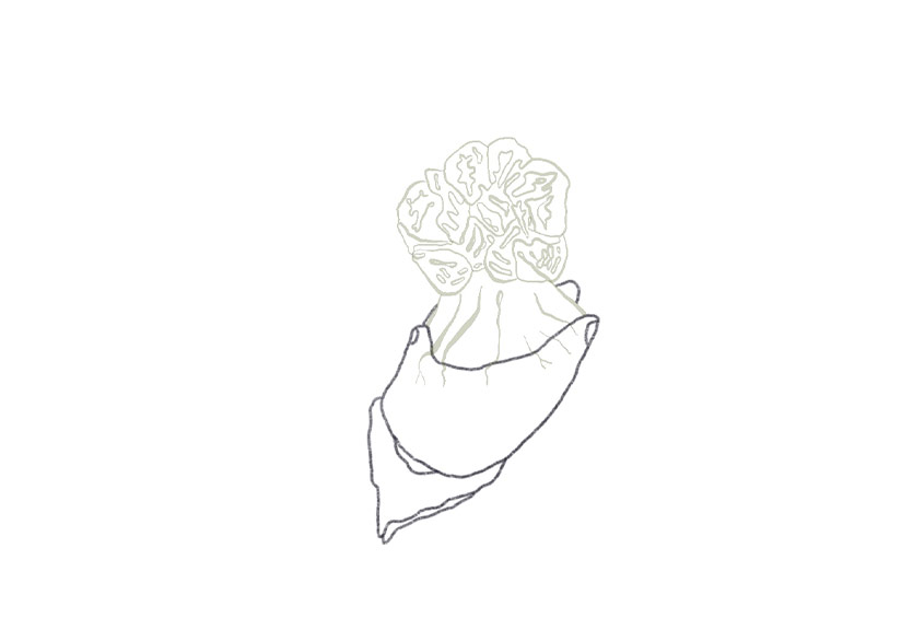 Berna Ay’ın “Bugün Nasıl Uyandım?” Sergisi Eldem Sanat Alanı | Fırın’da