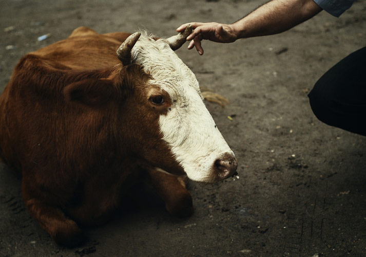 Merkezine İnsanları Alan Fotoğraflar
