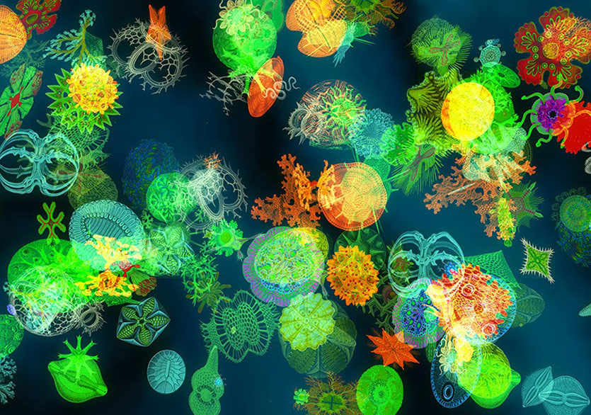 Atlantis Dünyasında Yolculuğa Hazır Olun! 