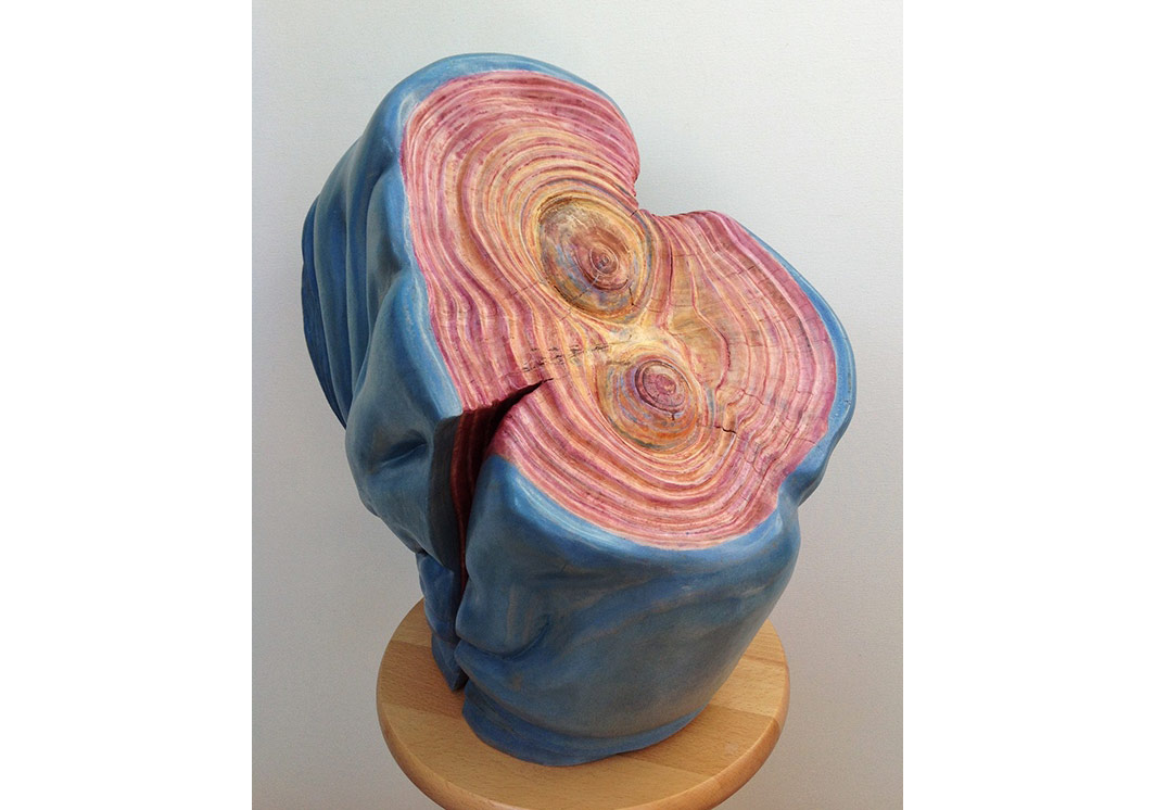 Ahşabın Bilinmeyen Hikayesi