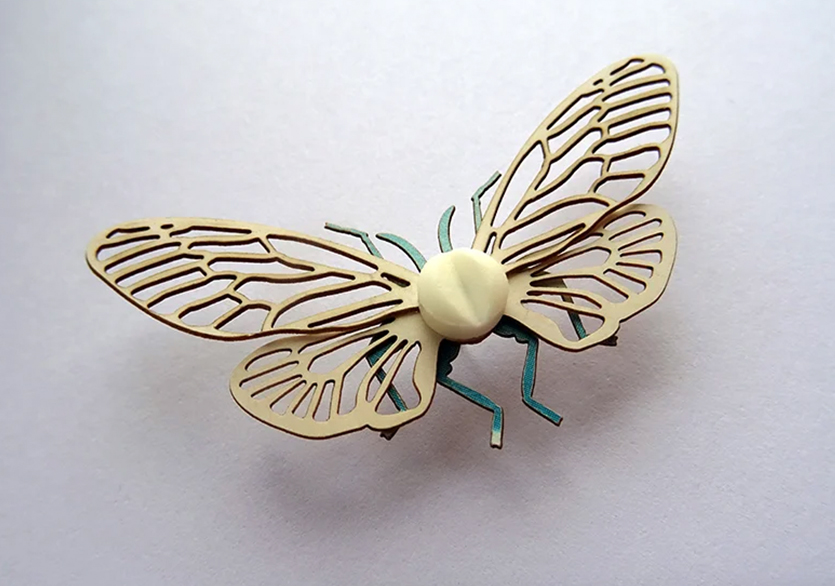 Merel Slootheer’dan Kâğıt Böcekler