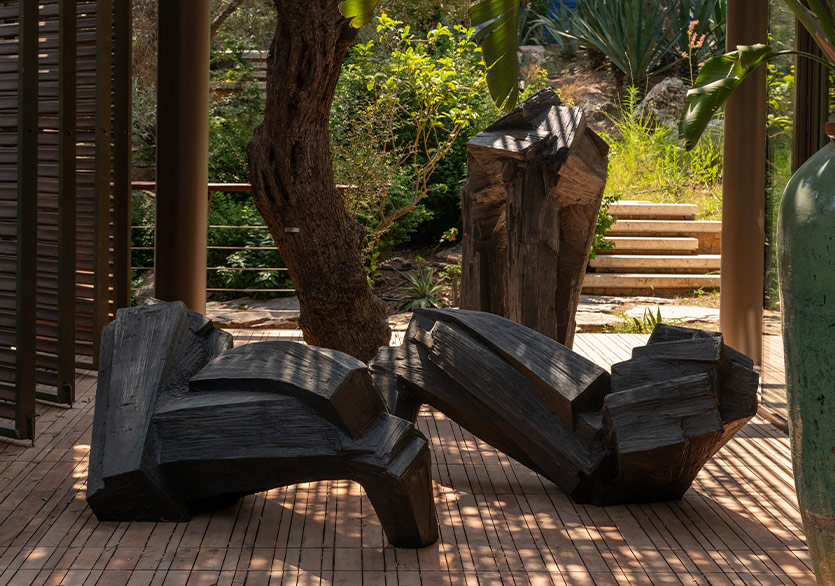 Galeri Bosfor “Doğanın Yankıları” Sergisiyle Mesa Bodrum’da