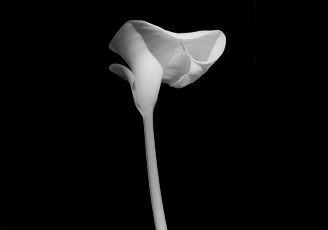 Robert Mapplethorpe’la Zıtlıkların Gücü