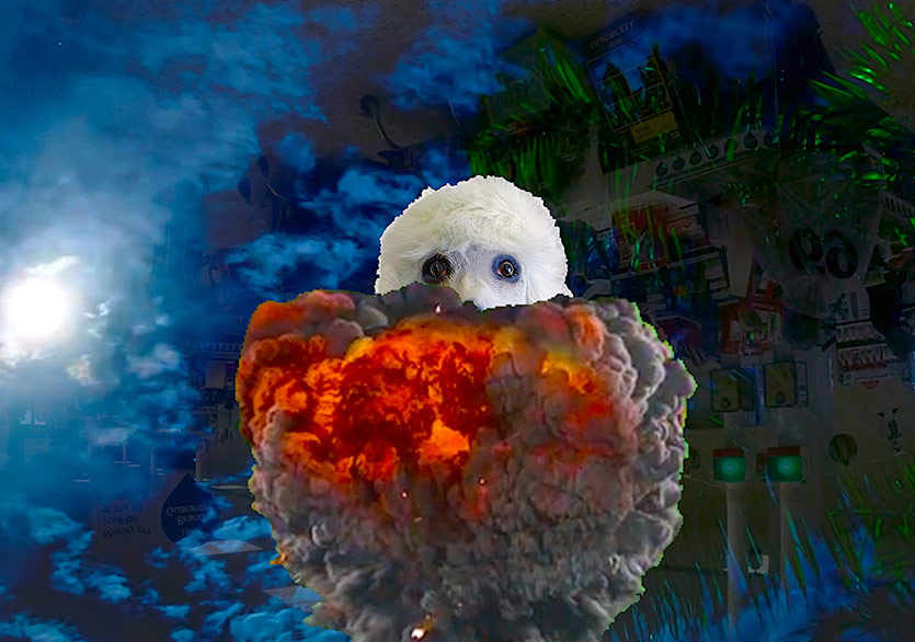 Sanat Dünyasından Köpekler Sergi Düzenliyor