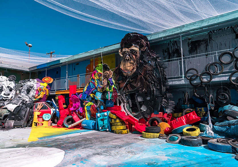 Vahşi Doğaya Açılan Çevresel Atıklar