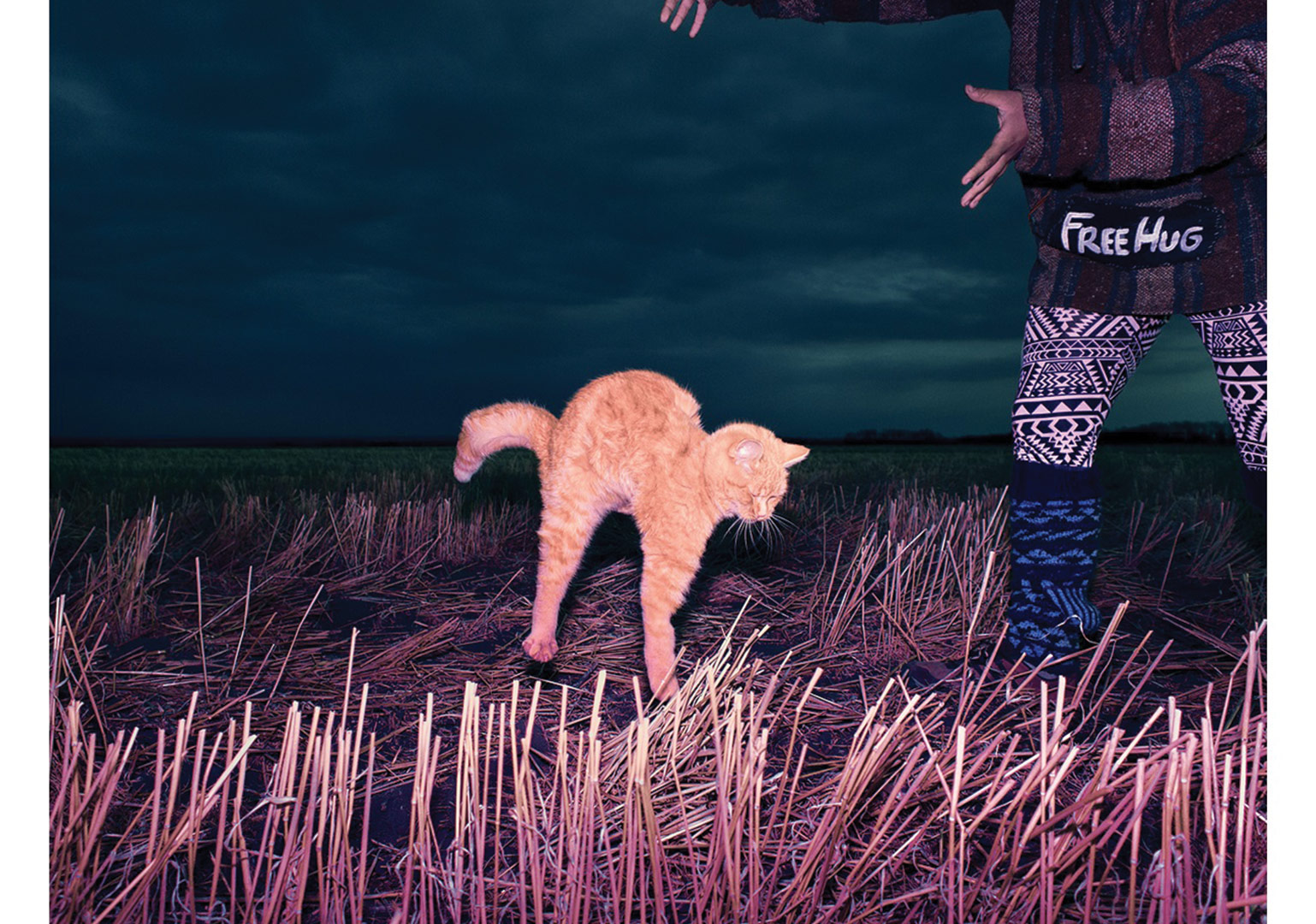 Sınırları Sorgulamak