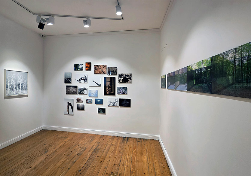 Arzu Arbak ile Aslıhan Kaplan Bayrak’ın “Derin Salınımlar, Sessiz Yankılar” Labirent Sanat’ta