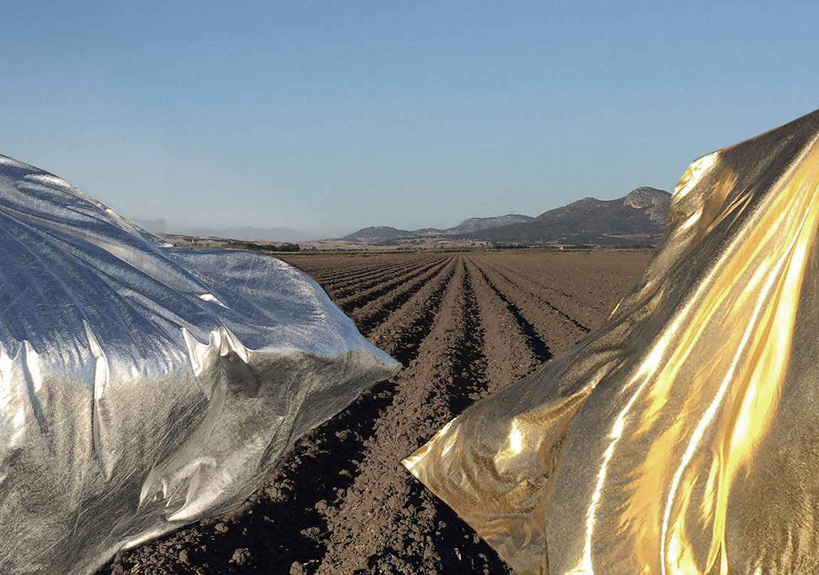 Bilinç Dışı ve Tüketim Olgusu Ortak Sergide Buluşuyor