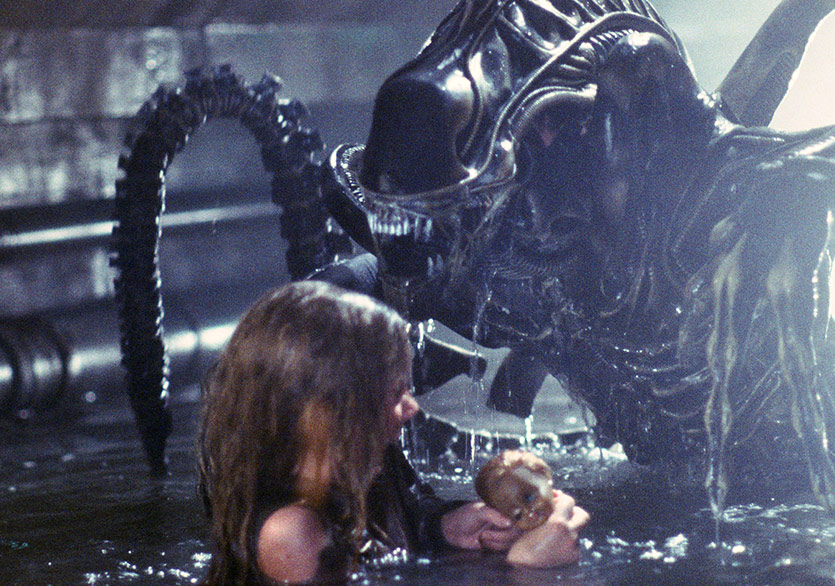 Bu Kışın Kaçırmak İstemeyeceğiniz Etkinlikleri Neler?