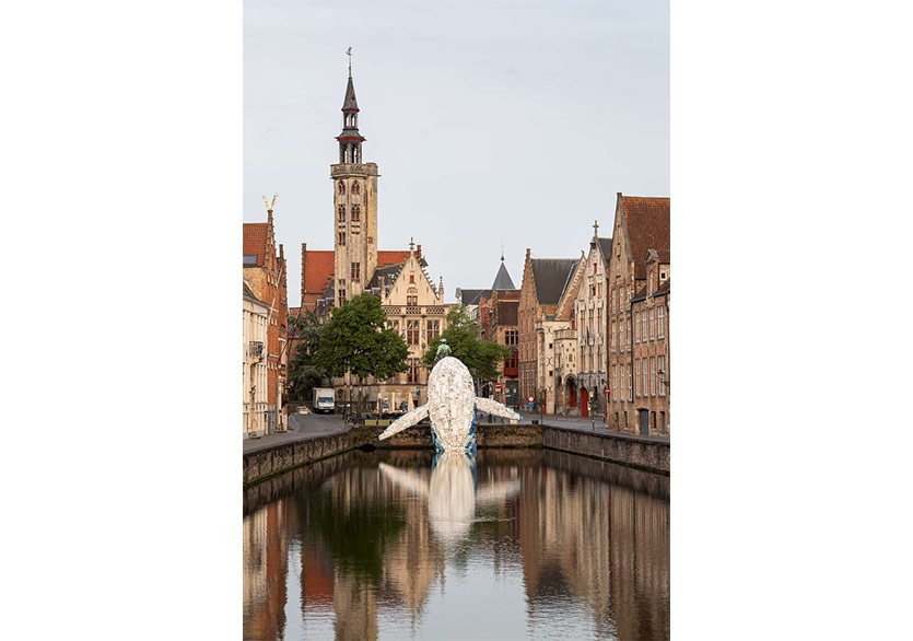 Brugge Kanalı’nda Dev Bir Balina