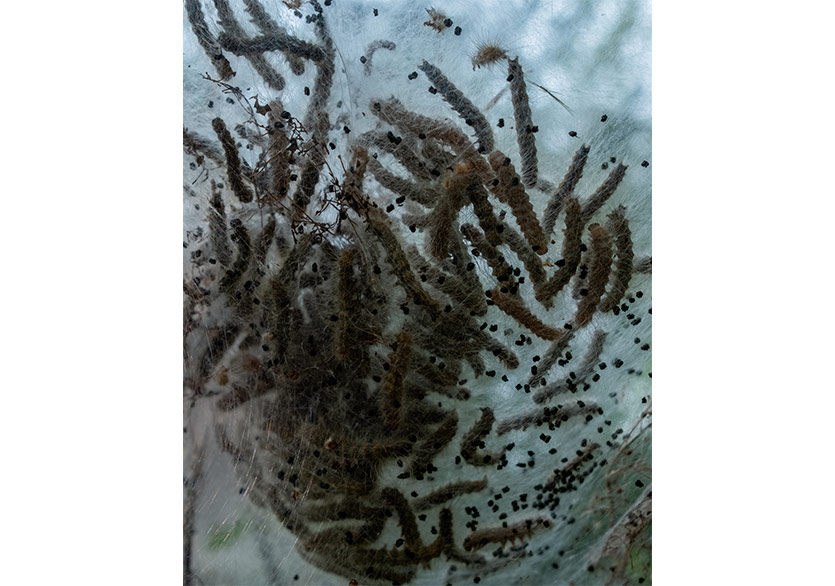 Arda Asena’nın “Karmaşanın İçinde Olasılıklar Oluşturabilmek” Sergisi Ka’da