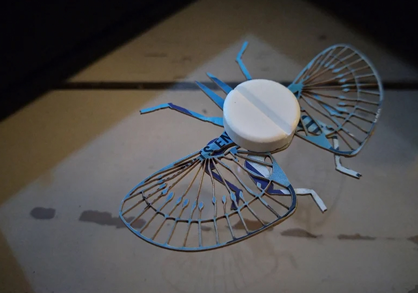 Merel Slootheer’dan Kâğıt Böcekler