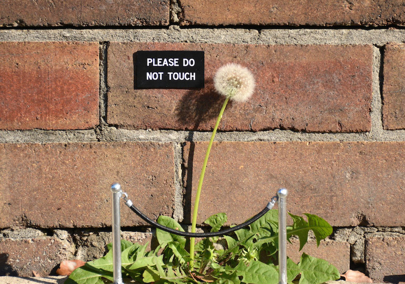 Günlük Koşturmacada Biraz Gülümsemek İsteyenlere