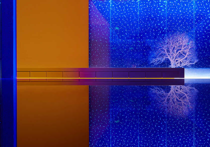 Japon Mutfağının Ruhunu Yansıtan Bir Tasarım