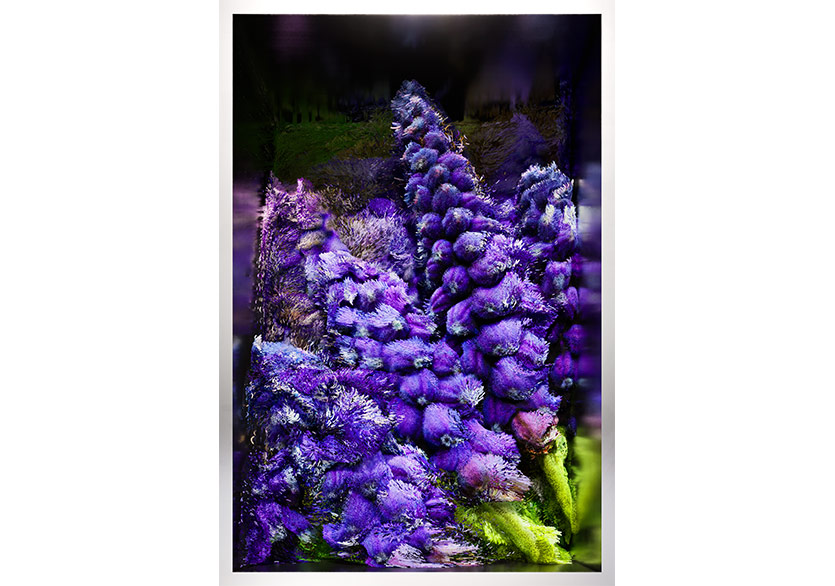 Refik Anadol’un Eseri “Büyük Doğa Modeli Türkiye-Flora” Türkiye İş Bankası Resim Heykel Müzesi’nde