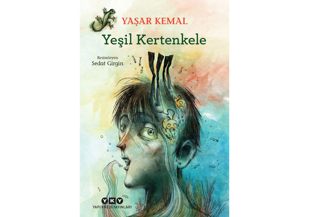 Yaşar Kemal’in Öyküsü, Sedat Girgin’in Çizimleri