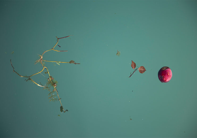 Ateş Alpar’ın İlk Kişisel Sergisi “Taş Kabuk Sessiz” Merdiven Art Space’de