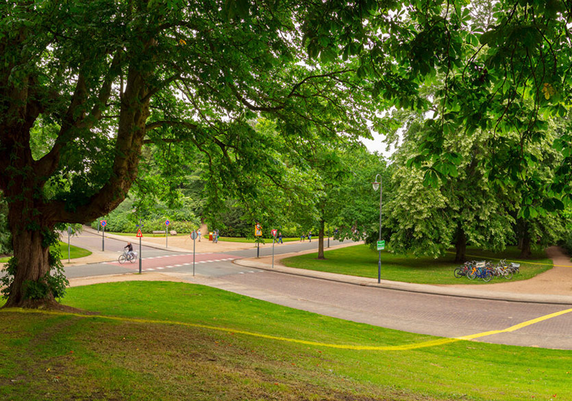 Her Bir Bireye Ne Kadar Alan Düşer?