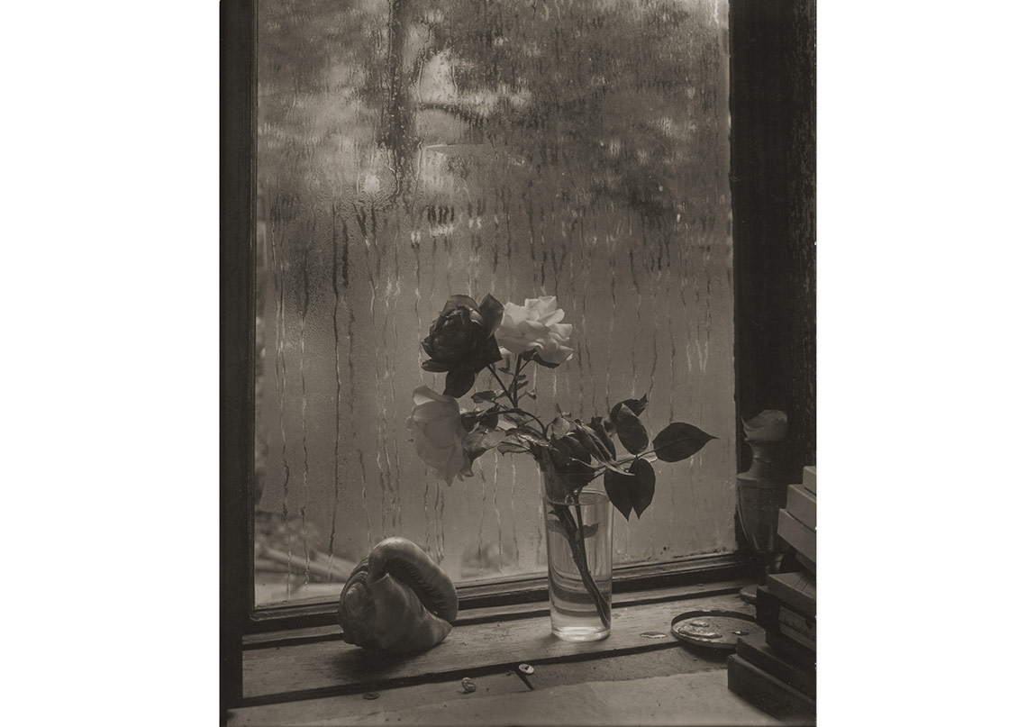 Josef Sudek’in Penceresi