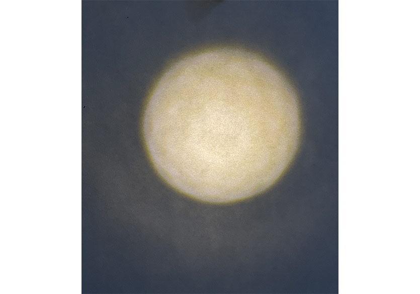 Larry Muñoz “Graceful Elegant Beasts” Sergisiyle Zilberman’da