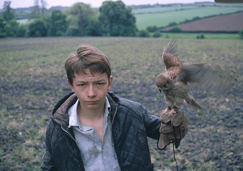 Engelsiz Filmler Festivali Başlıyor