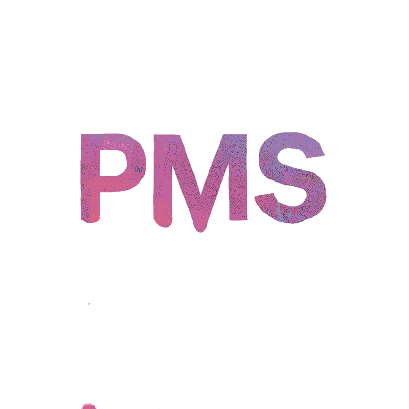 Artırılmış Gerçeklik Sergisi: PMS
