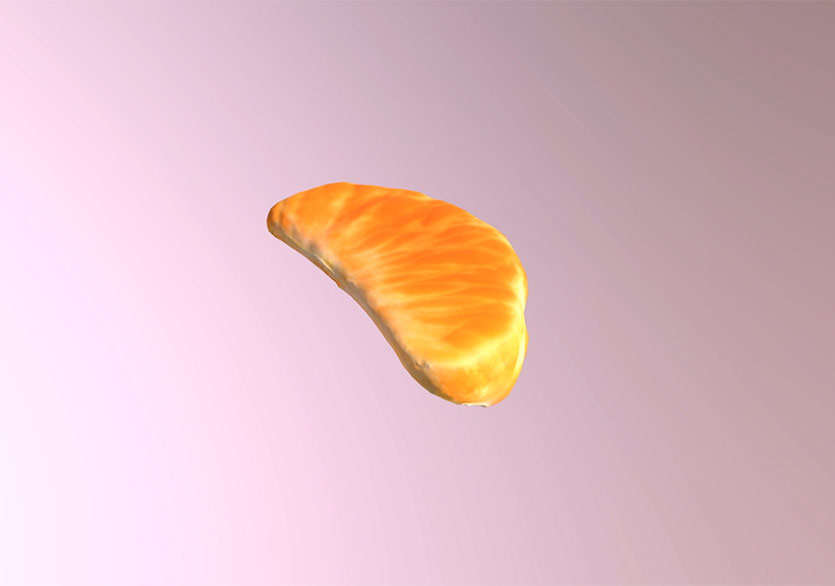 Deniz Tortum ve Kathryn Hamilton’un “Our Ark” Filmi Türkiye Prömiyerini Yapacak