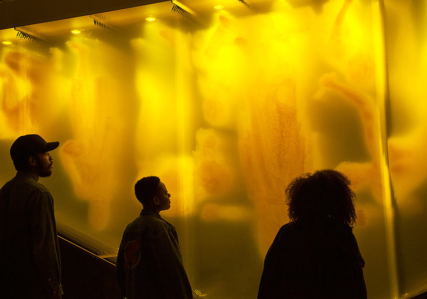 Eterik Kurulumların Benzersiz Dili