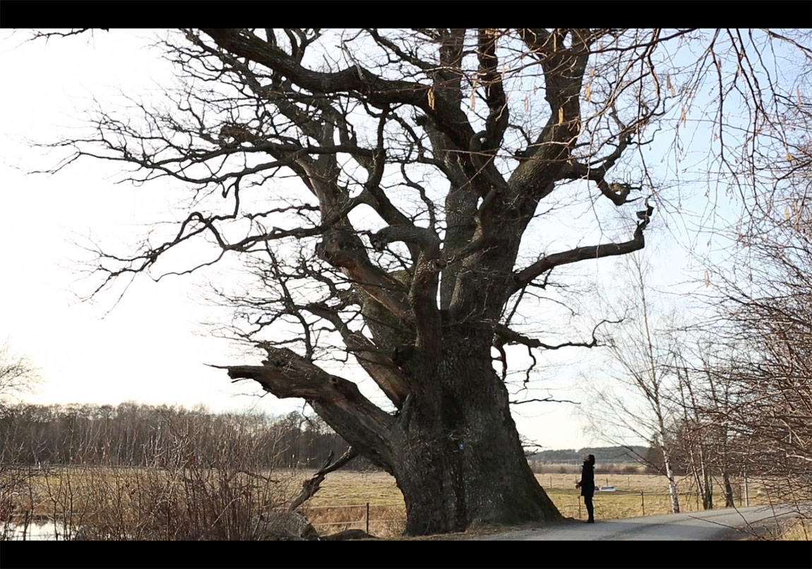 Kimlik ve Mekan Üzerine Bir Platform: IdentityLab Sessions