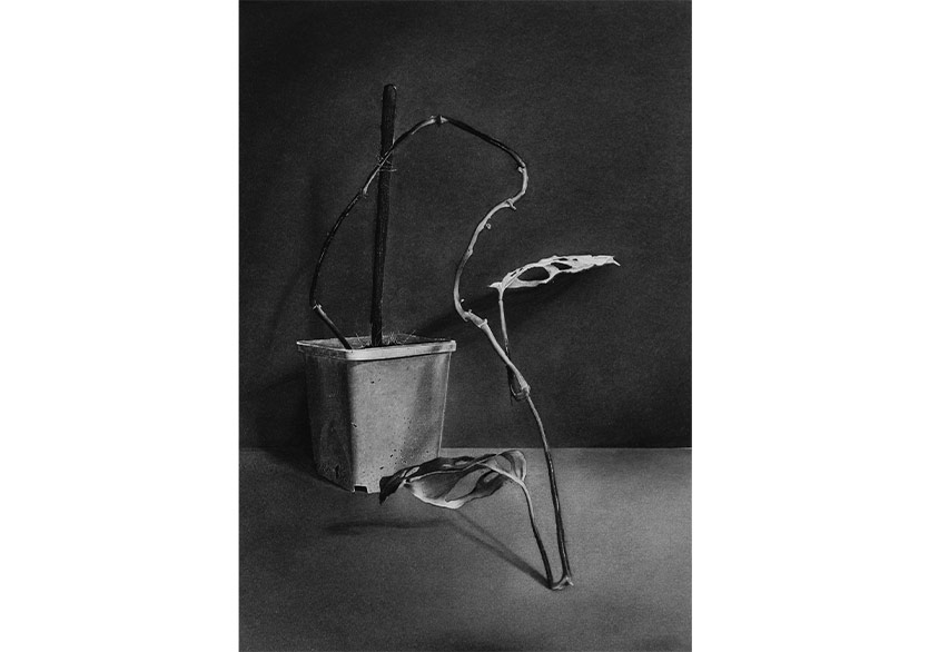 Ka ve Galeri Siyah Beyaz’dan İş Birliği: “Güneş Hiç Gölge Görmedi”