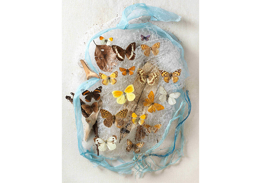 “Günümüz Avusturya Sanatında Kadın Sanatçılar: Ulrike Köb ve Die 4 Grazien” Yapı Kredi bomontiada'da