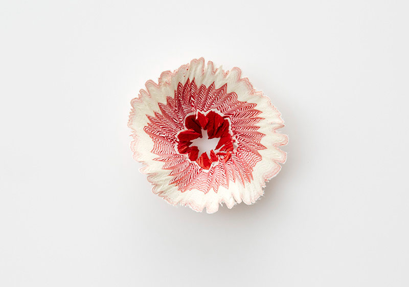 Mucizevi Minyatür Çiçekler