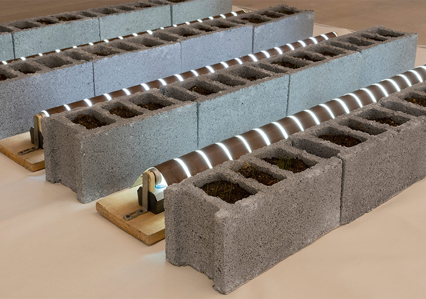 Arter’de Üç Yeni Sergi