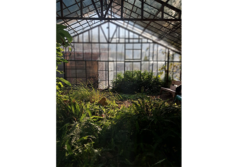 “Yüzeyin Kabuğunda” Sergisi 4 Ekim’de Greenhouse’da 