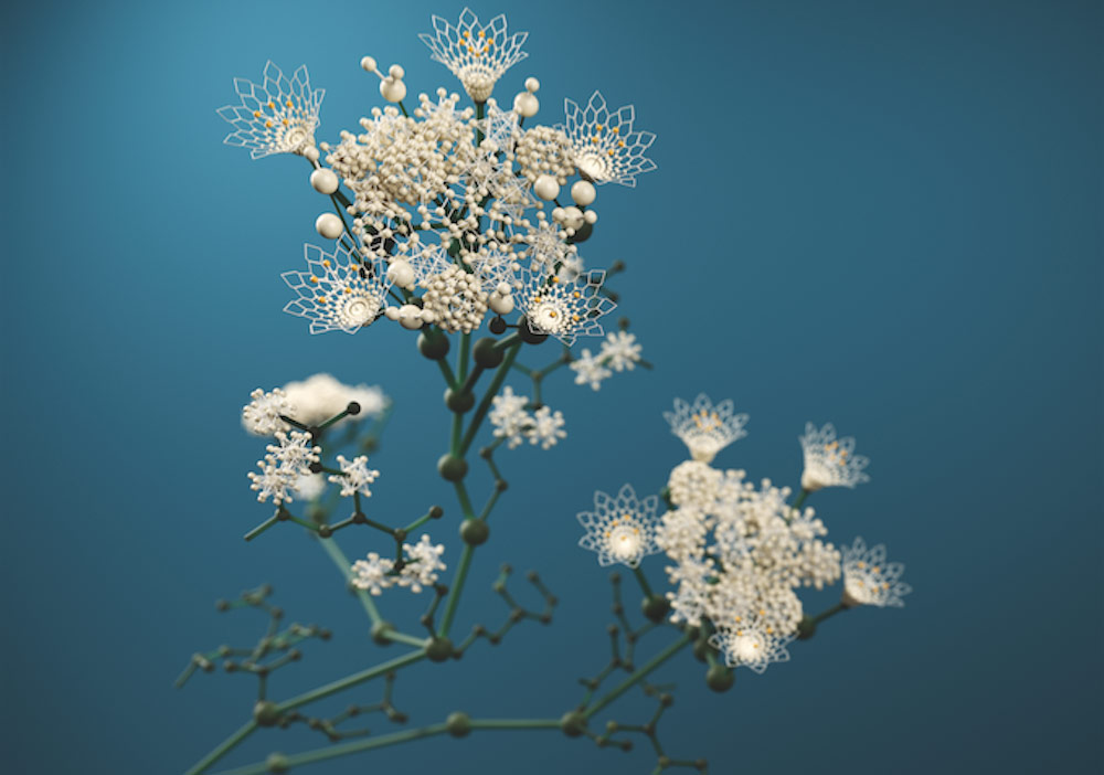 2016’nın En İyi İllüstratörleri Açıklandı