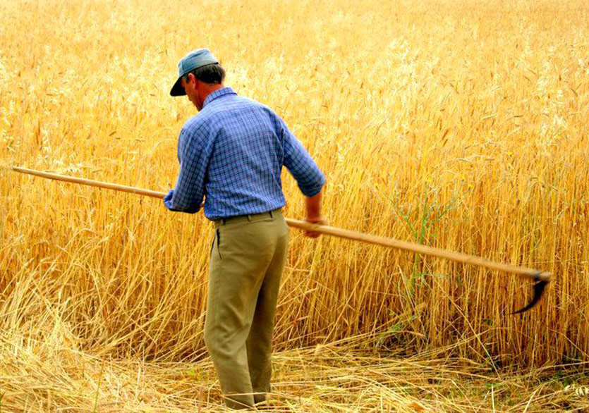 Çalışma Düşüncesi Ayrıntı Yayınları Etiketiyle Raflarda