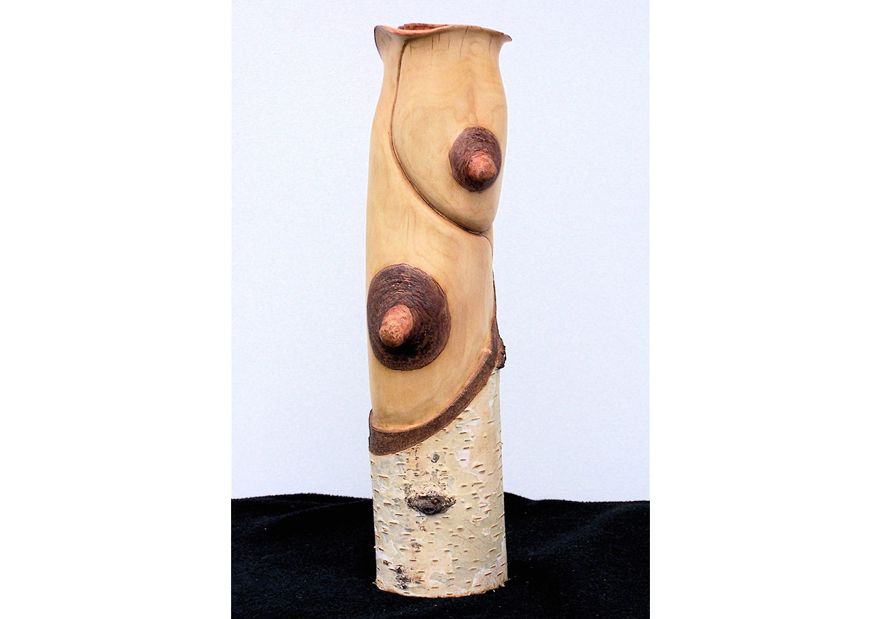 Ahşabın Bilinmeyen Hikayesi