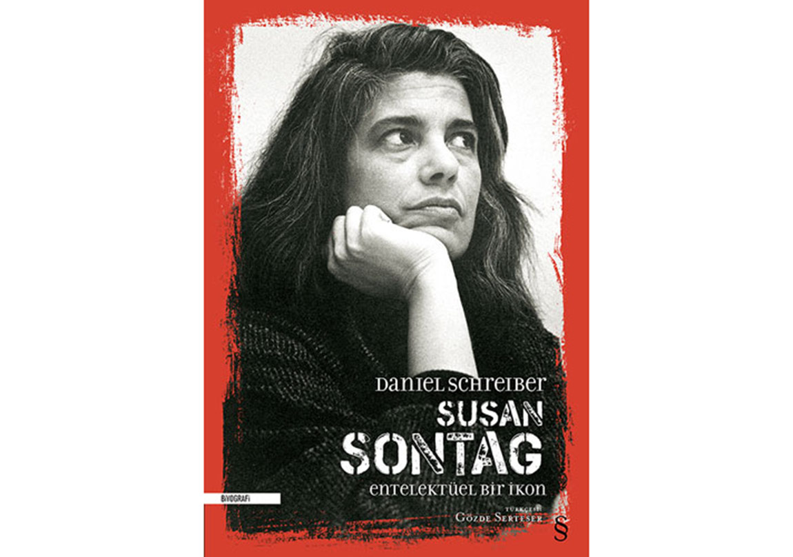 Susan Sontag, Entelektüel Bir Roman