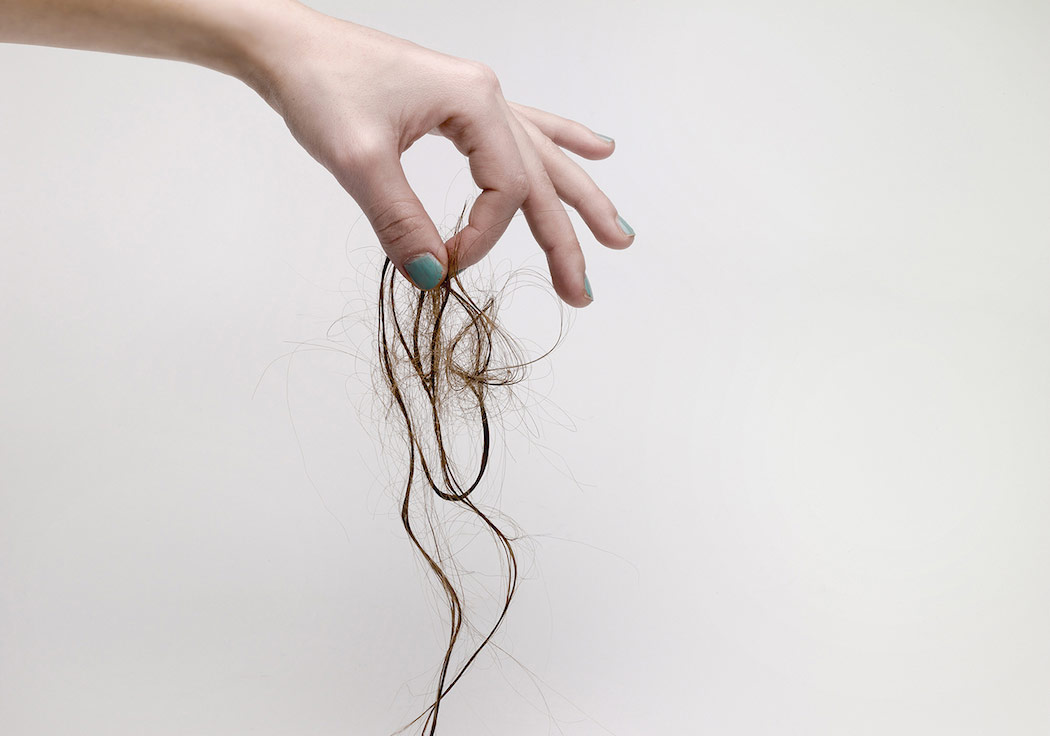 Bu Projenin Başrolünde Saçlar Var!