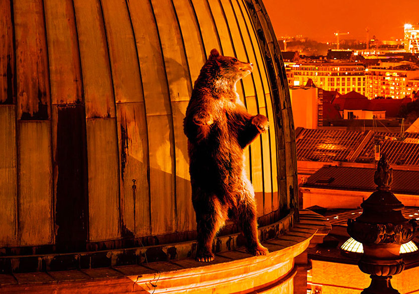 Berlin Film Festivali’nin İlk Beş Günü Bitti