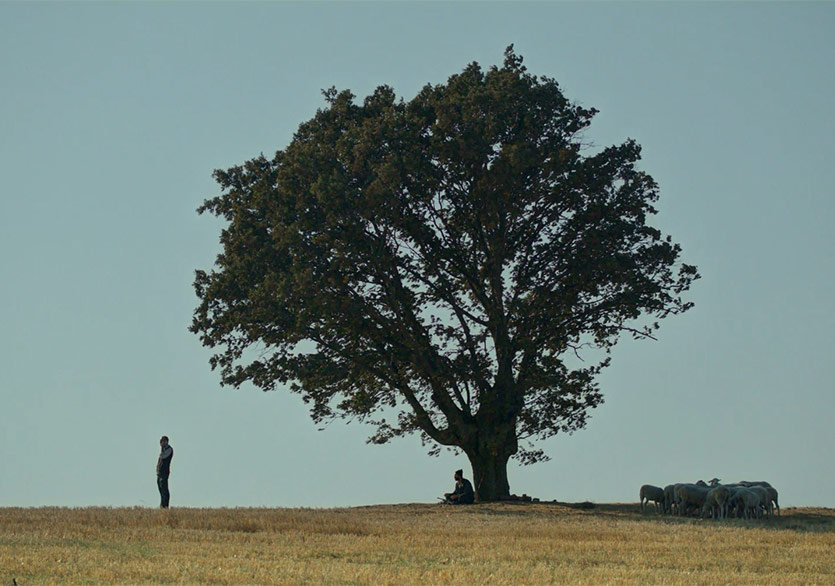 1. Türkisches Film Festival Başlıyor
