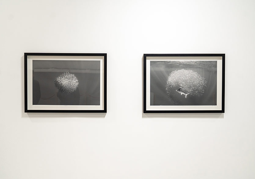 Taksim Sanat’ta Yeni Sergi: “AİLE / FAMILY”