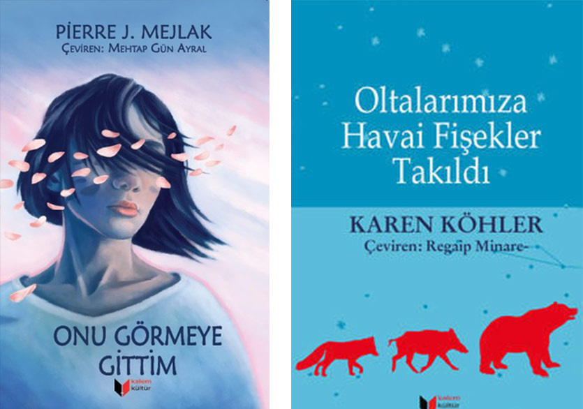 Kısa Öykülerden Uzun Bir Köprü