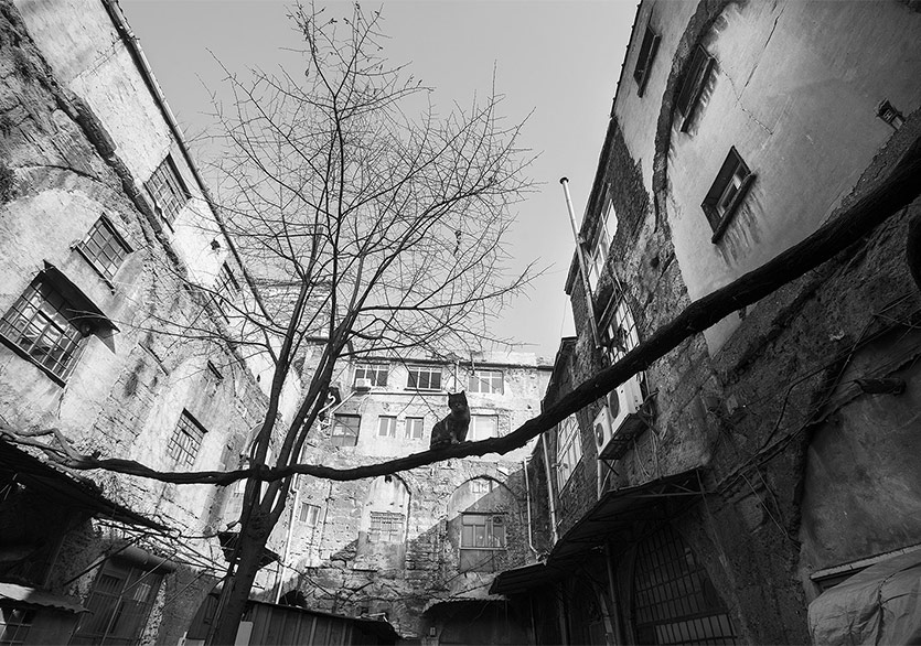 “Hanlarda Yaşam” Sergisi Arthan Sanat Galerisi’nde